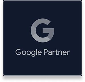 Light google partner network