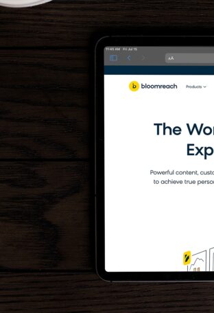 Bloomreach consulting dark left