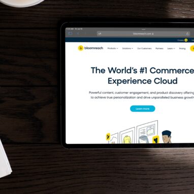 Bloomreach consulting dark