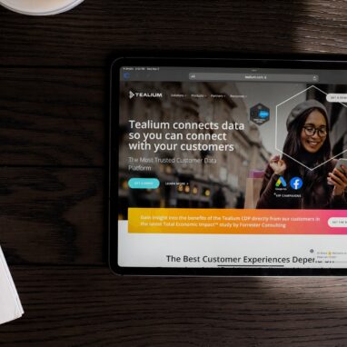 Tealium consulting