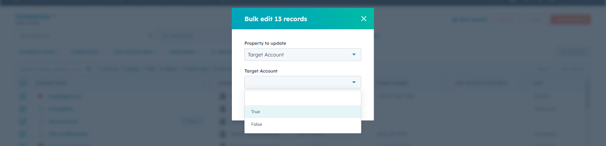 Bulk Edit Company Records to Assign as Target Accounts